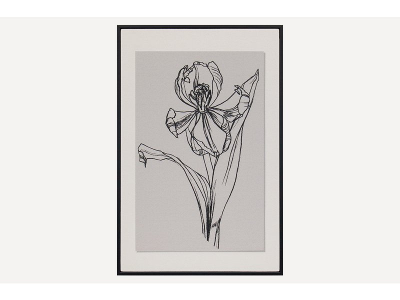Картина Ирис-1 Графика 20x30